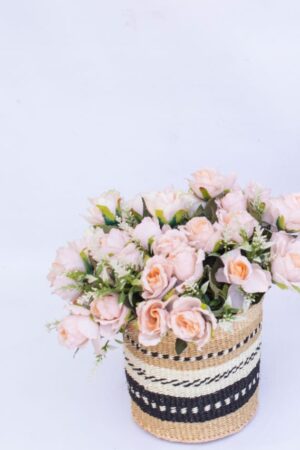 Sisal planter