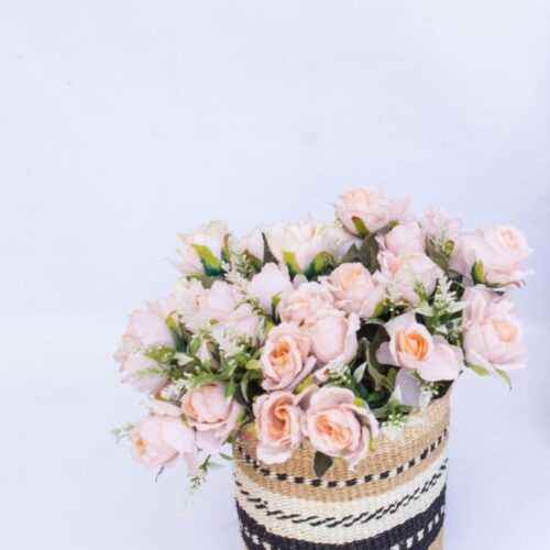 Sisal planter