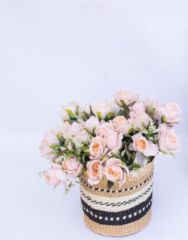 Sisal planter