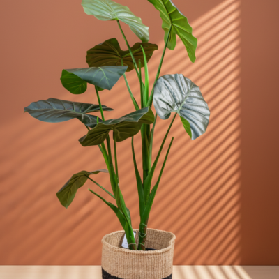 The Anchor Black Band Planter