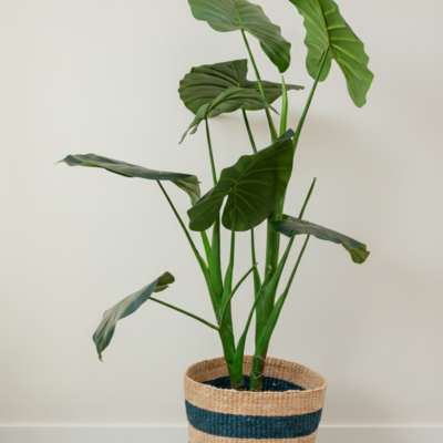 The Coastline Stripe Planter