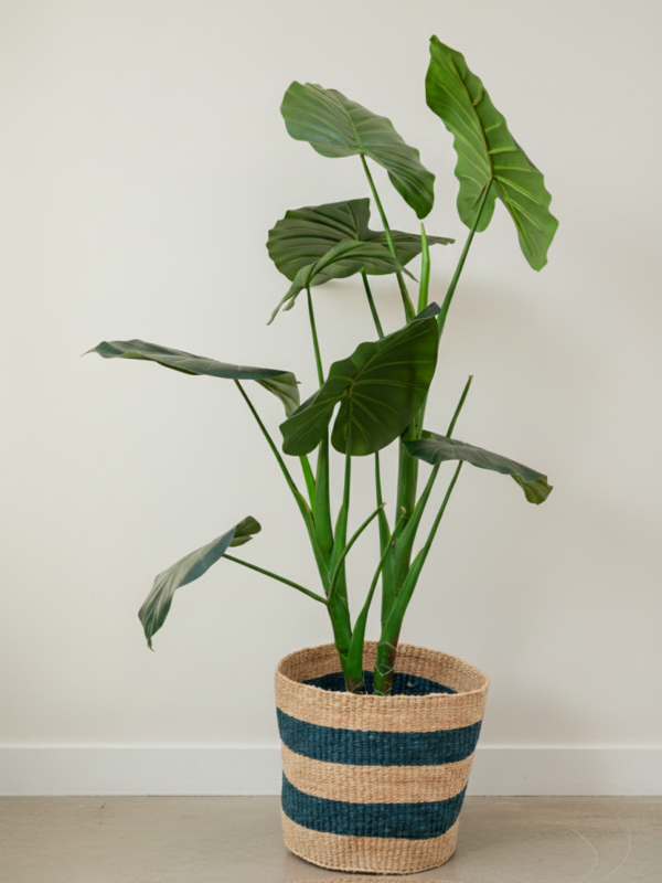 The Coastline Stripe Planter