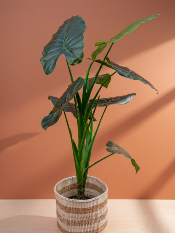 The Sahara Texture Planter